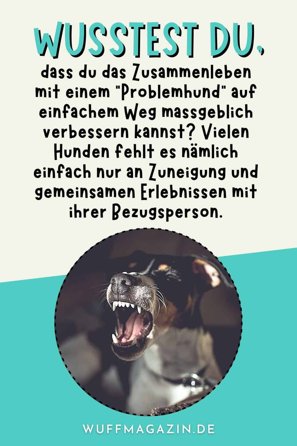 5 Zeichen, Dass Du Einen Problemhund Hast!
