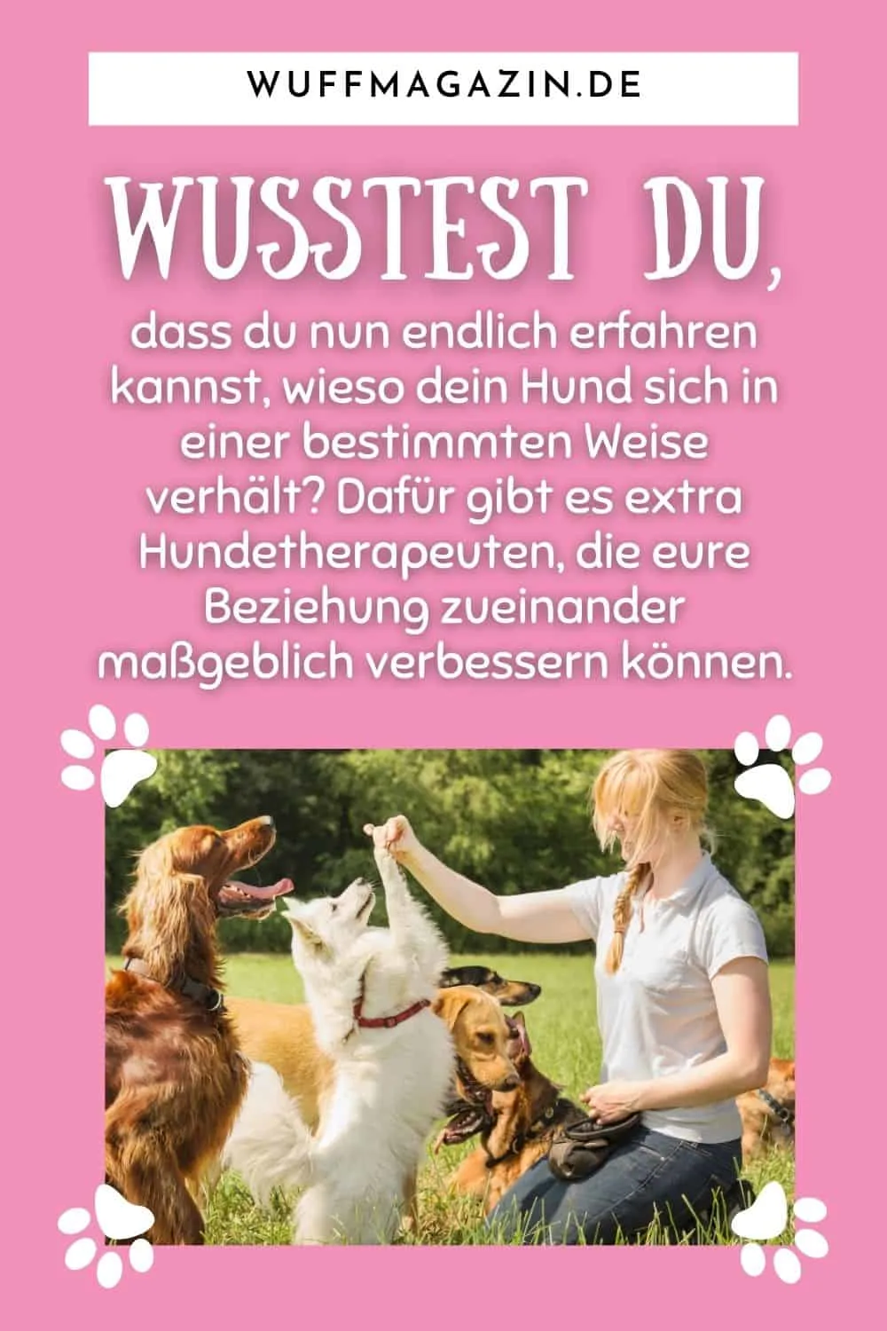 Hundetherapeut - Warum Ist Er Für Unsere Vierbeiner Wichtig