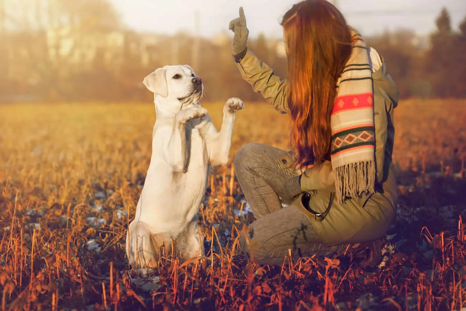junge Frau und weißer Labrador Retriever