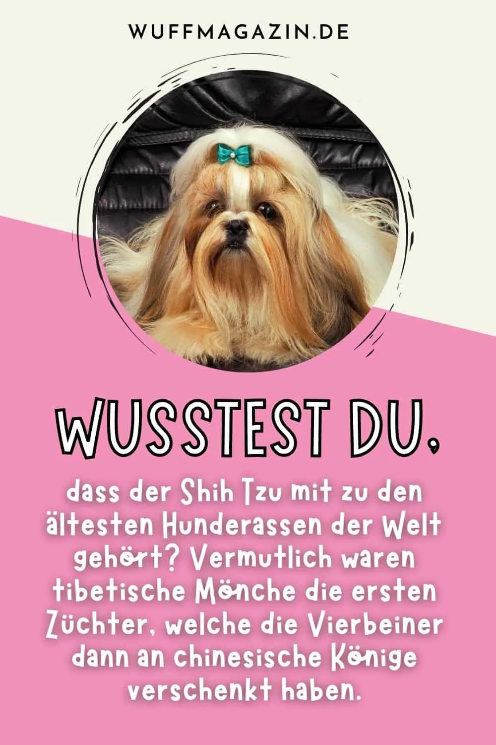10 ruhige Hunderassen zum Verlieben!