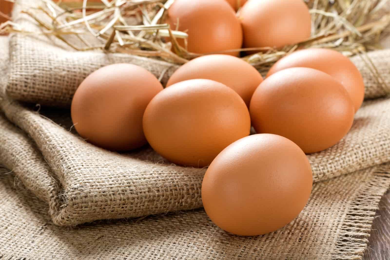 Eier auf Stroh