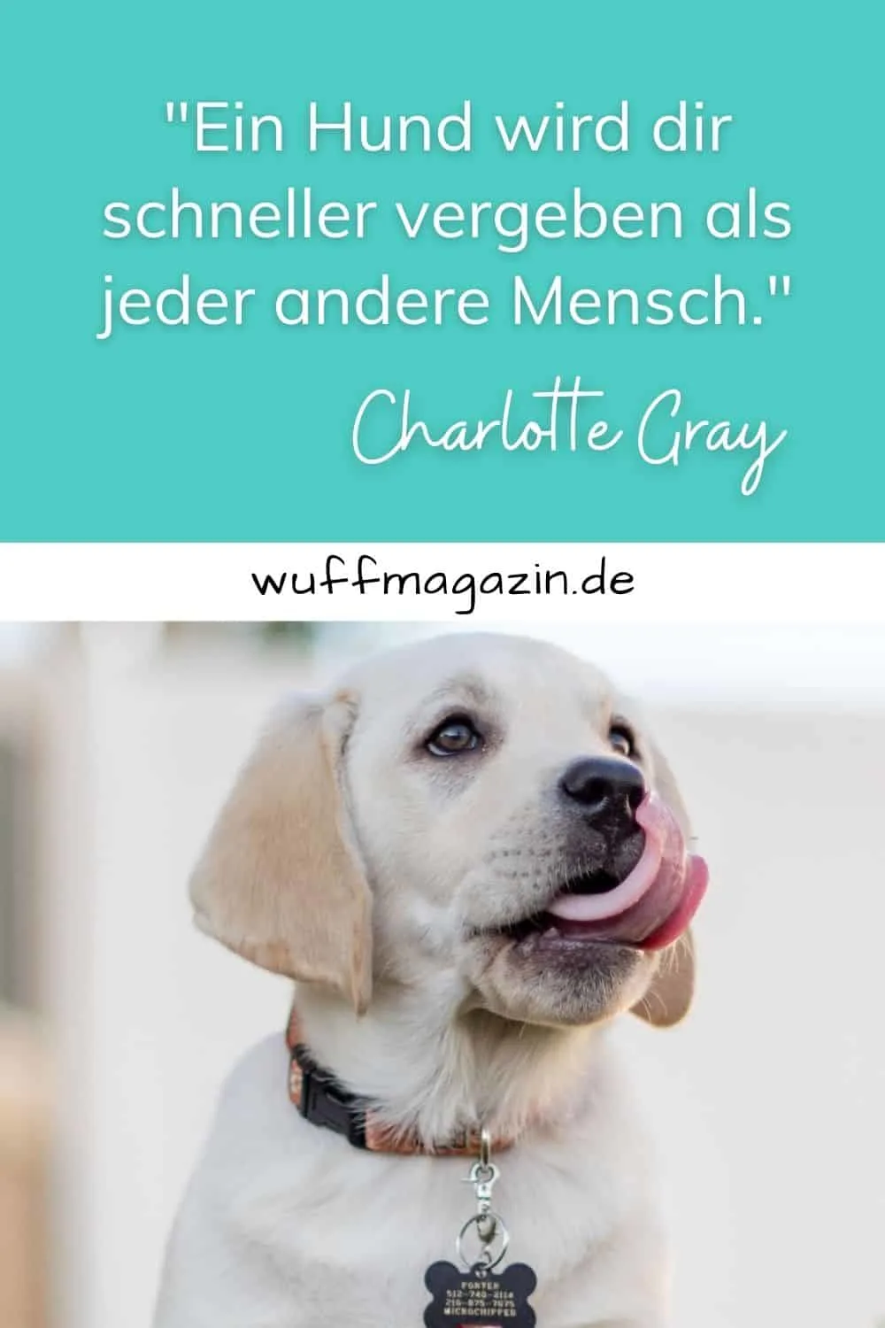 Hunde Sprüche Die Schönsten Hundezitate Und Weisheiten