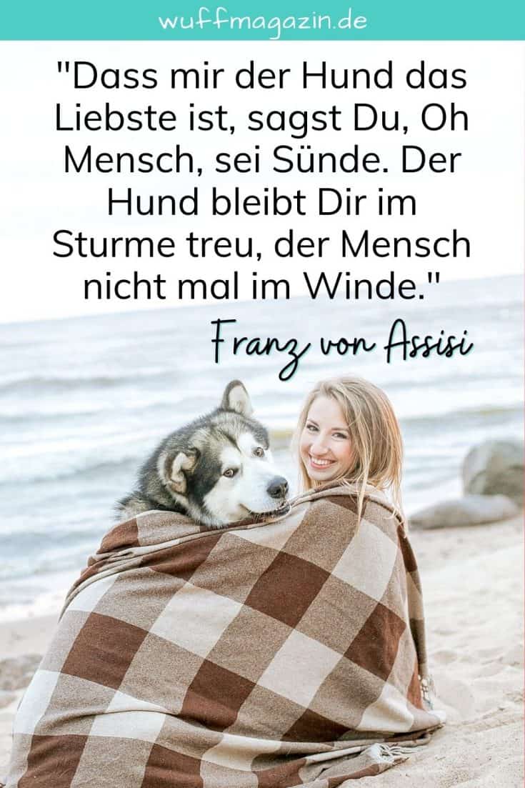 Hunde Sprüche Die Schönsten Hundezitate Und Weisheiten