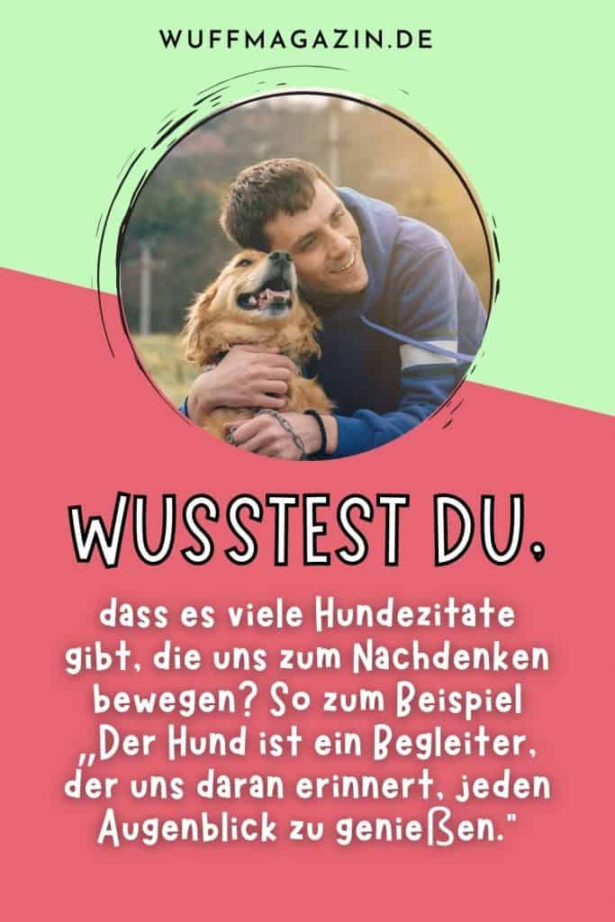 Lebensweisheiten Hunde Zitate zum Nachdenken