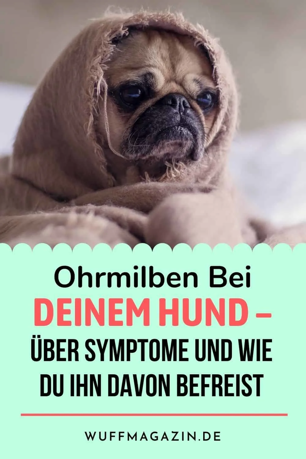 Die Magie eines aufgeräumten Zuhauses: Tipps für mehr Wohlbefinden