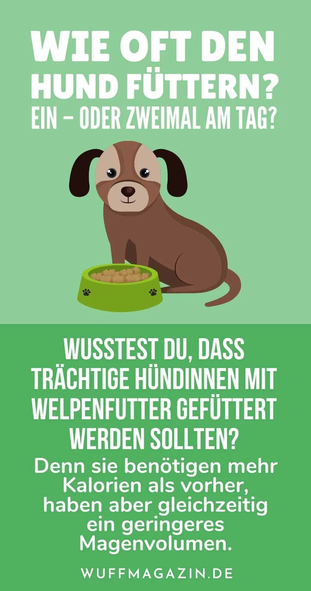 Wie Oft Den Hund Fttern? Ein - Oder Zweimal Am Tag?