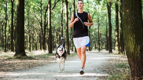 10 Dinge, die du beim Hundetraining berücksichtigen solltest