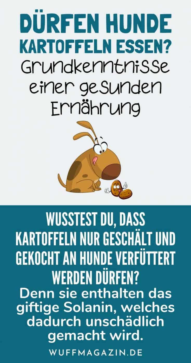 Dürfen Hunde Kartoffeln essen? Grundkenntnisse einer gesunden Ernährung