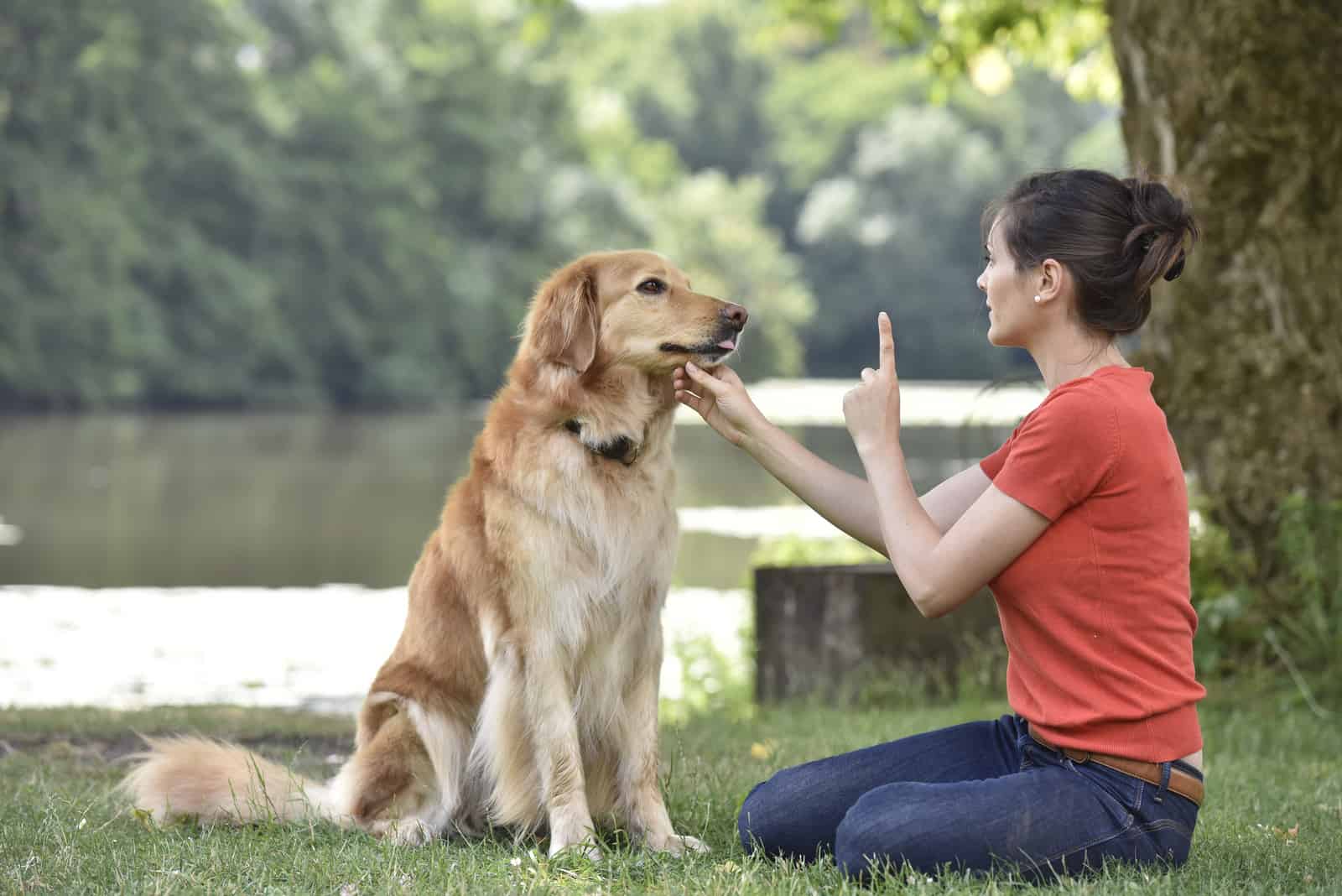 Eine Frau in einem Park trainiert einen Labrador