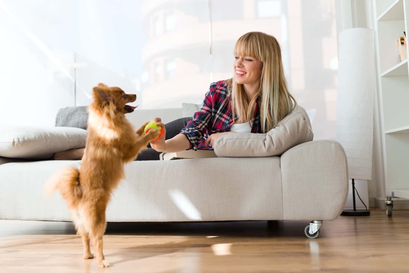 Eine lächelnde Blondine spielt mit ihrem kleinen braunen Hund im Haus