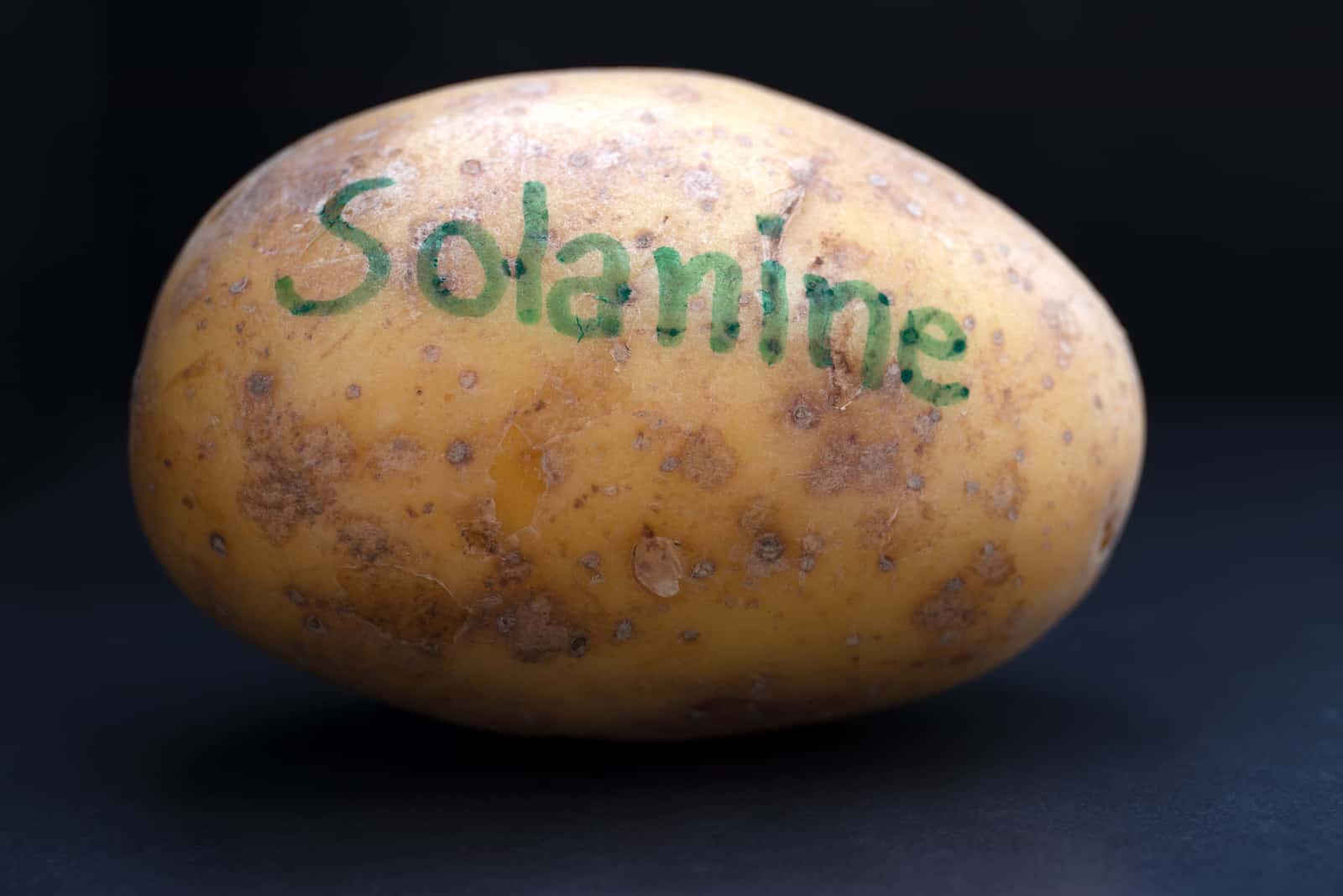 Kartoffel und Solanin, erhöhte Produktion, wenn sie Licht ausgesetzt wurden