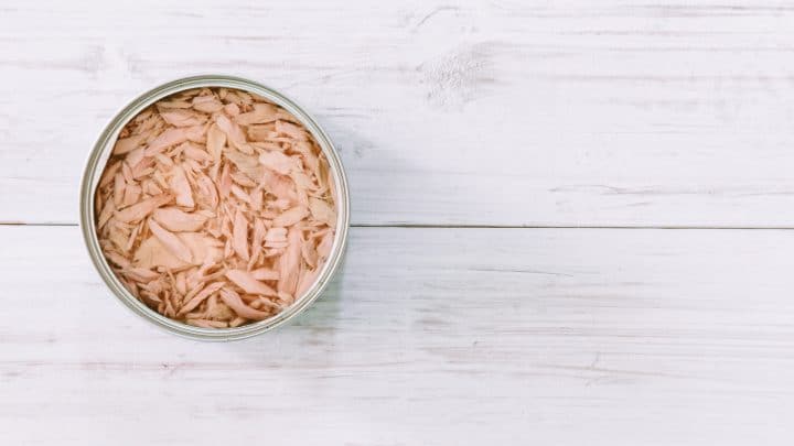 Dürfen Hunde Thunfisch essen? Der Unterschied zwischen roh und aus der Dose