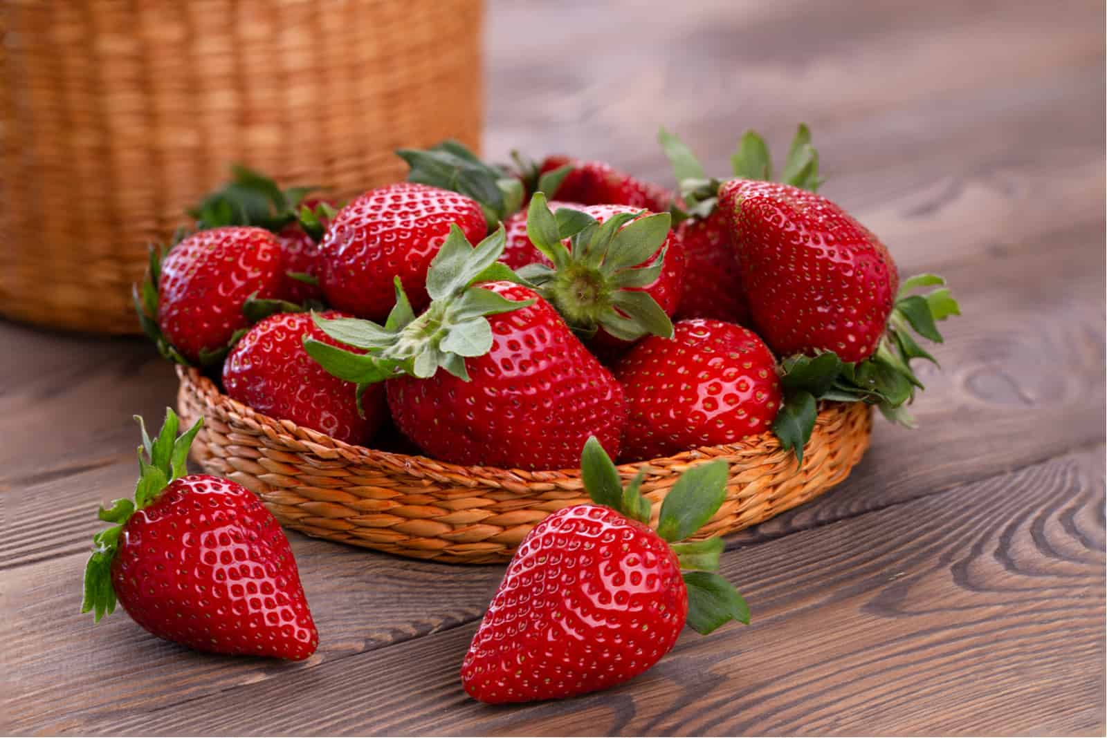 Erdbeeren Hund Wichtige Vitaminbomben oder giftige Früchte?