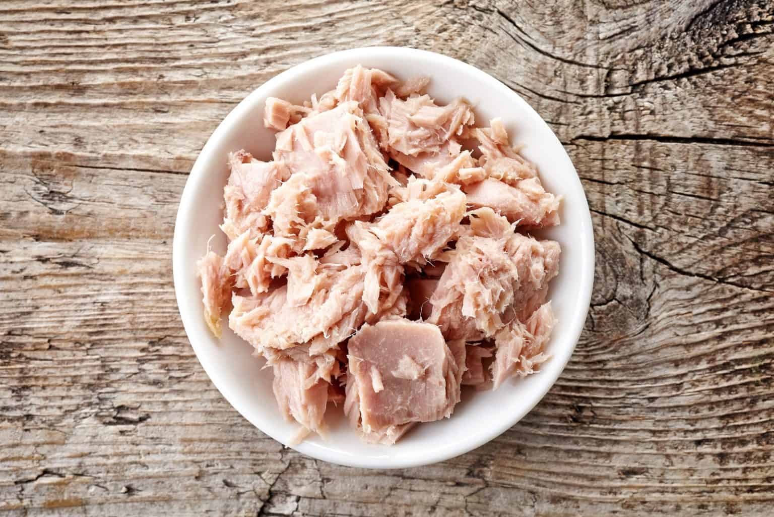 Dürfen Hunde Thunfisch Aus Der Dose Essen hundemedia.com