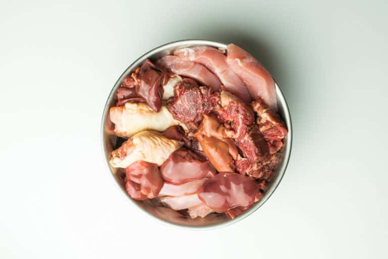 Was heißt Barfen? Alles über die Rohfütterung beim Hund