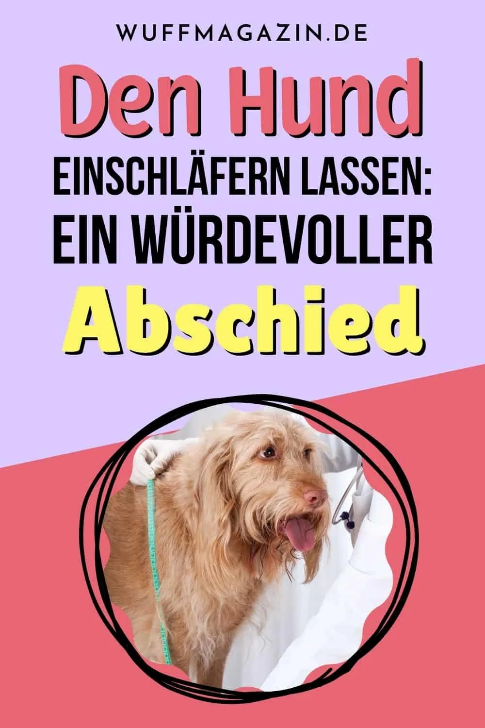 Den Hund einschläfern lassen Ein würdevoller Abschied