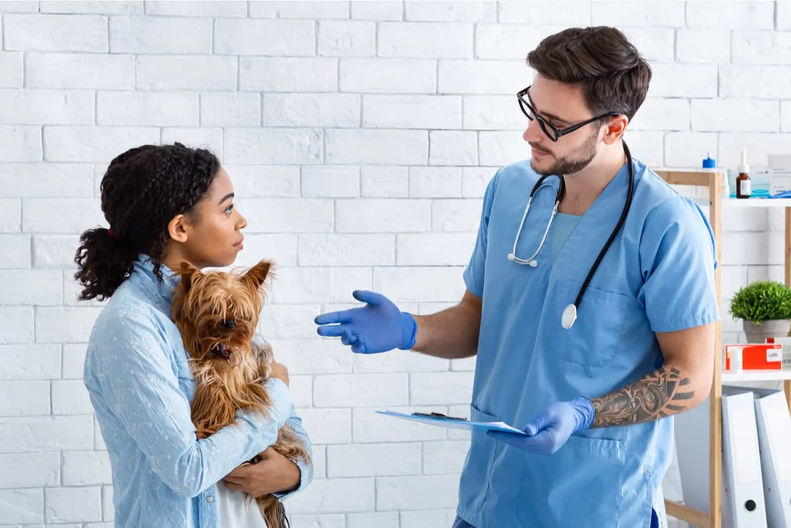 Ein Tierarzt in einer Arztpraxis spricht mit einem betroffenen kleinen Hundebesitzer