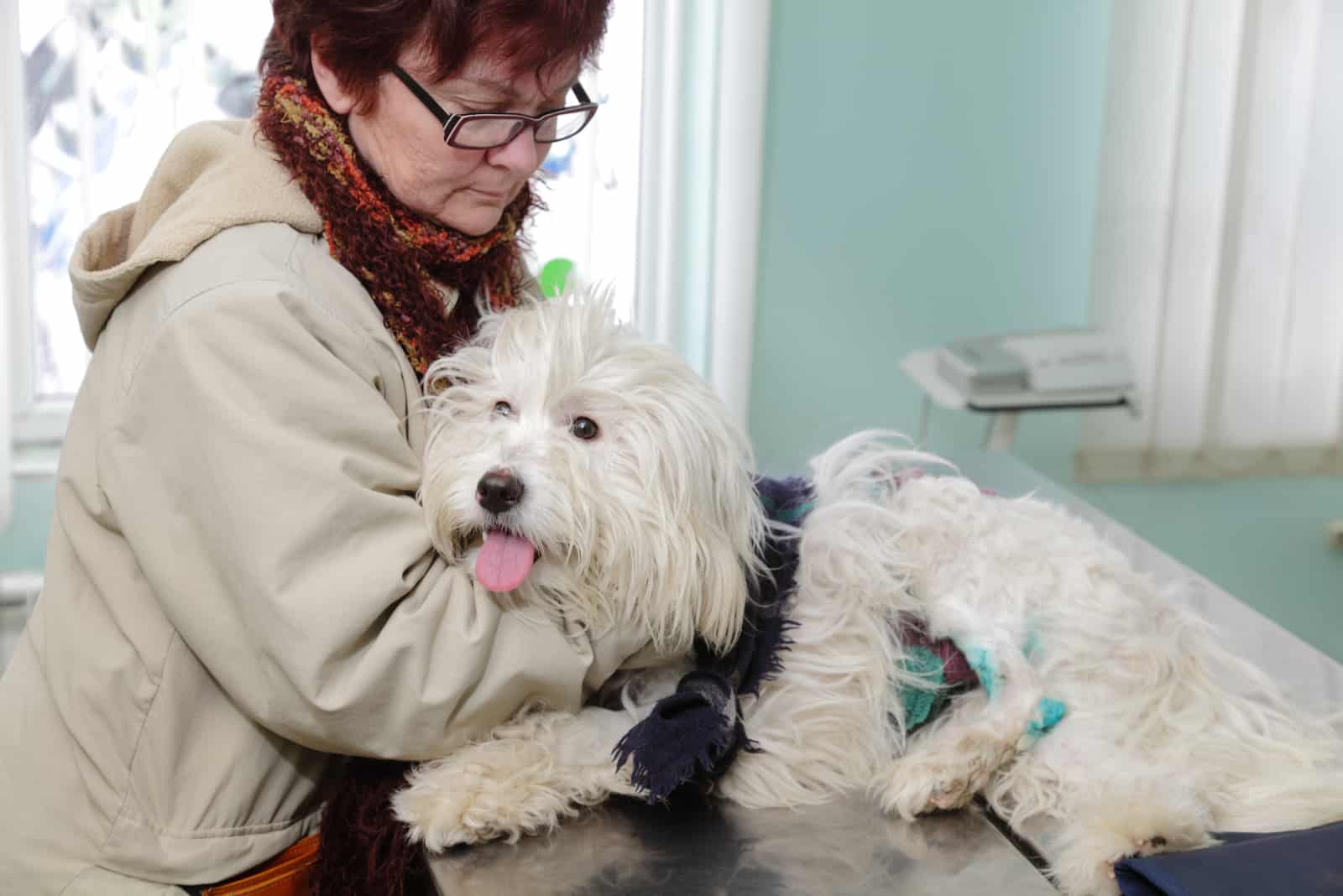 Eine traurige ältere Frau umarmt ihren kranken Hund beim Tierarzt