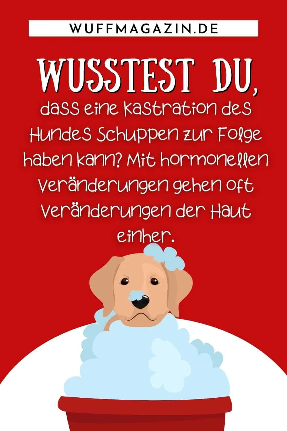 Mein Hund hat Schuppen Ursachen, Behandlung und Vorbeugung