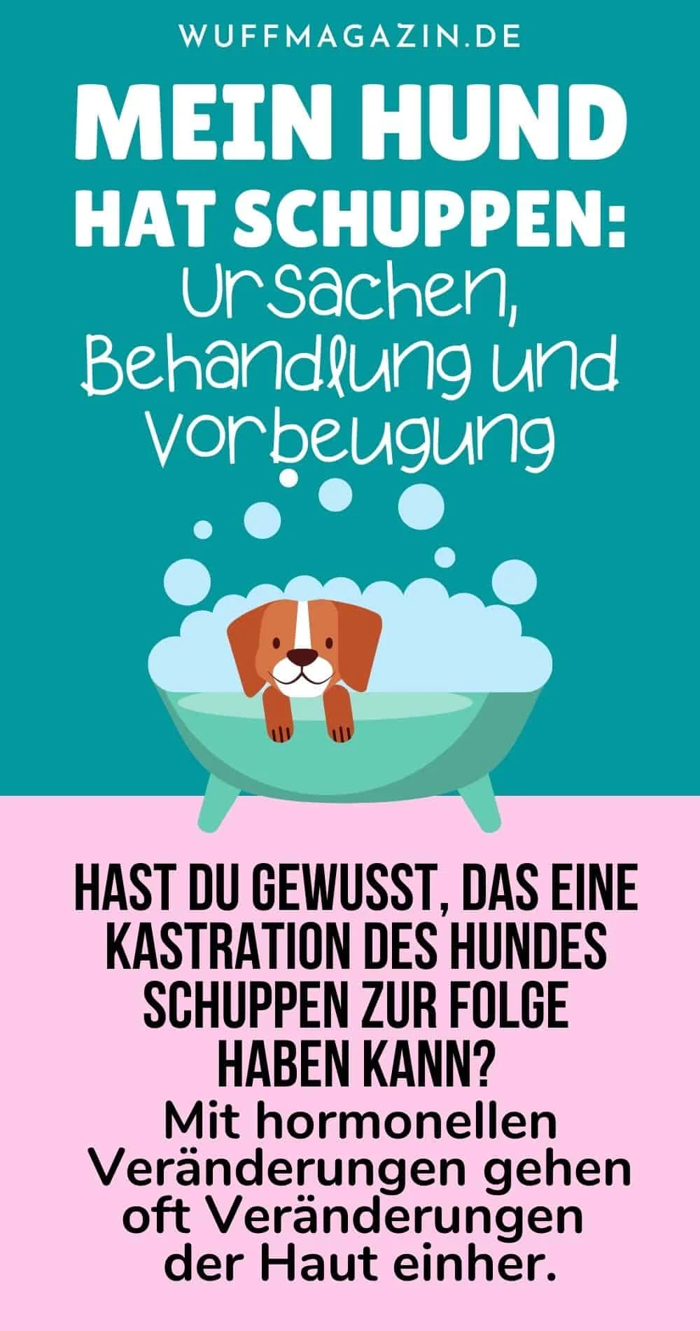 Mein Hund hat Schuppen Ursachen, Behandlung und Vorbeugung