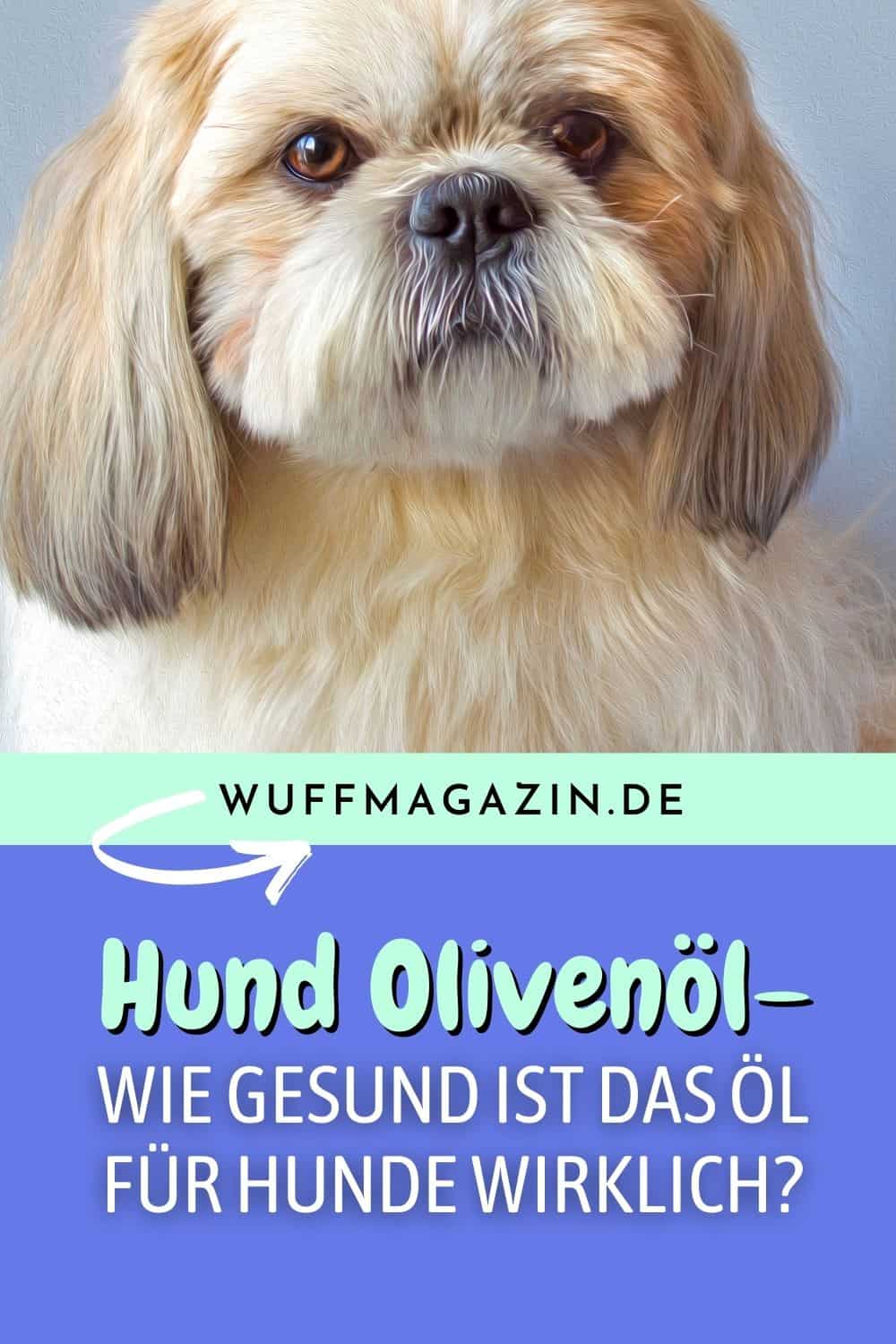 Hund Olivenöl – Wie gesund ist das Öl für Hunde wirklich