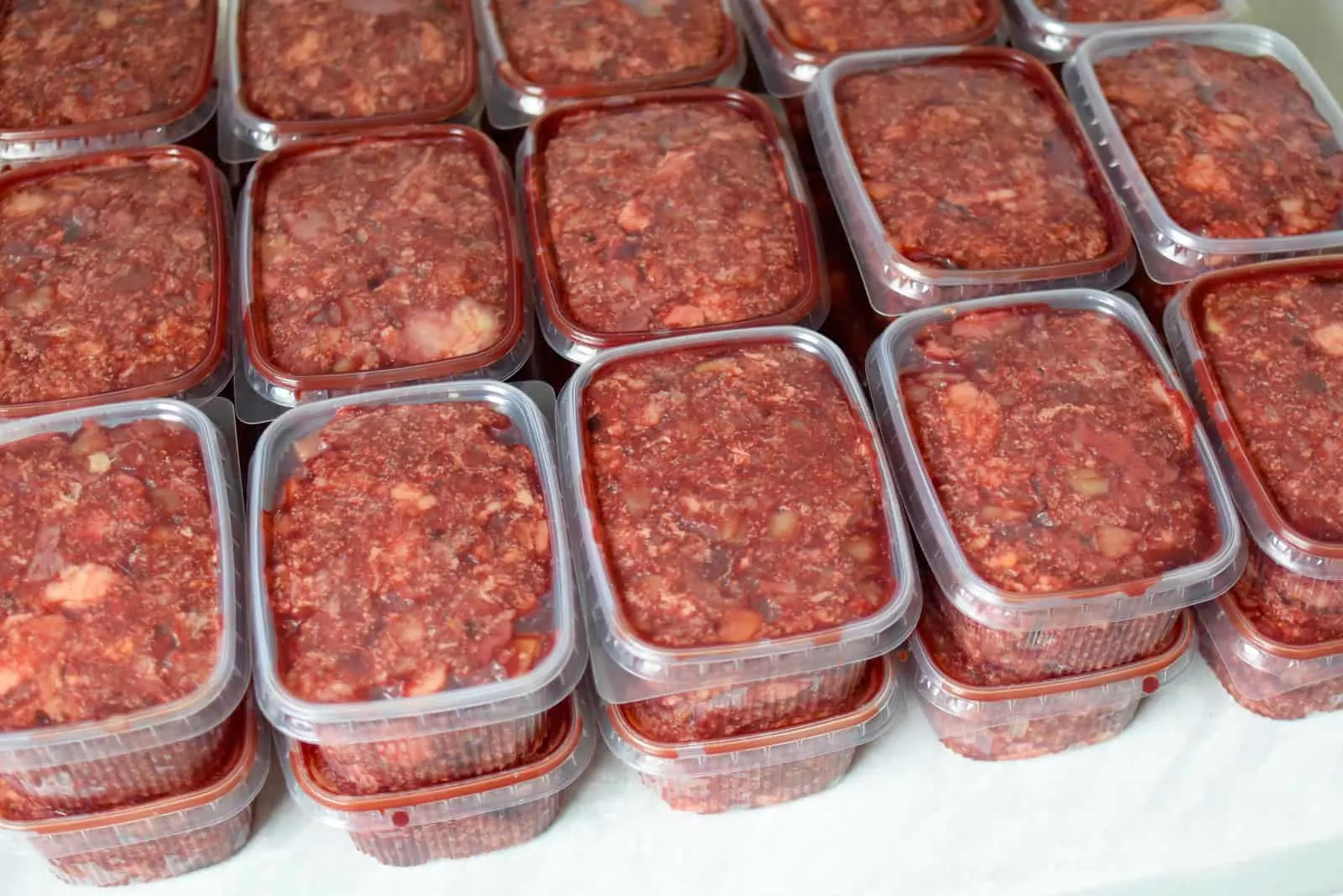 Mischung aus hausgemachtem, biologisch geeignetem Rohfutter für Hunde mit Fleisch und flüssigem Gemüse und Obst, verpackt in Behältern für tägliche Portionen