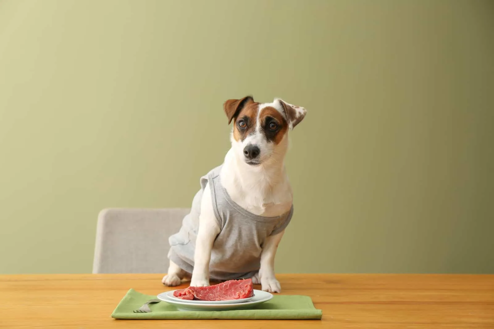 Netter lustiger Hund und Teller mit rohem Fleisch auf Tisch