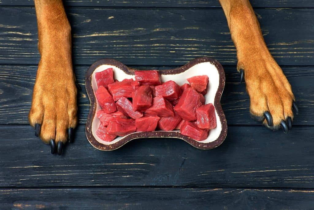 Fleisch für Hunde Welche Fleischsorten sind die besten?