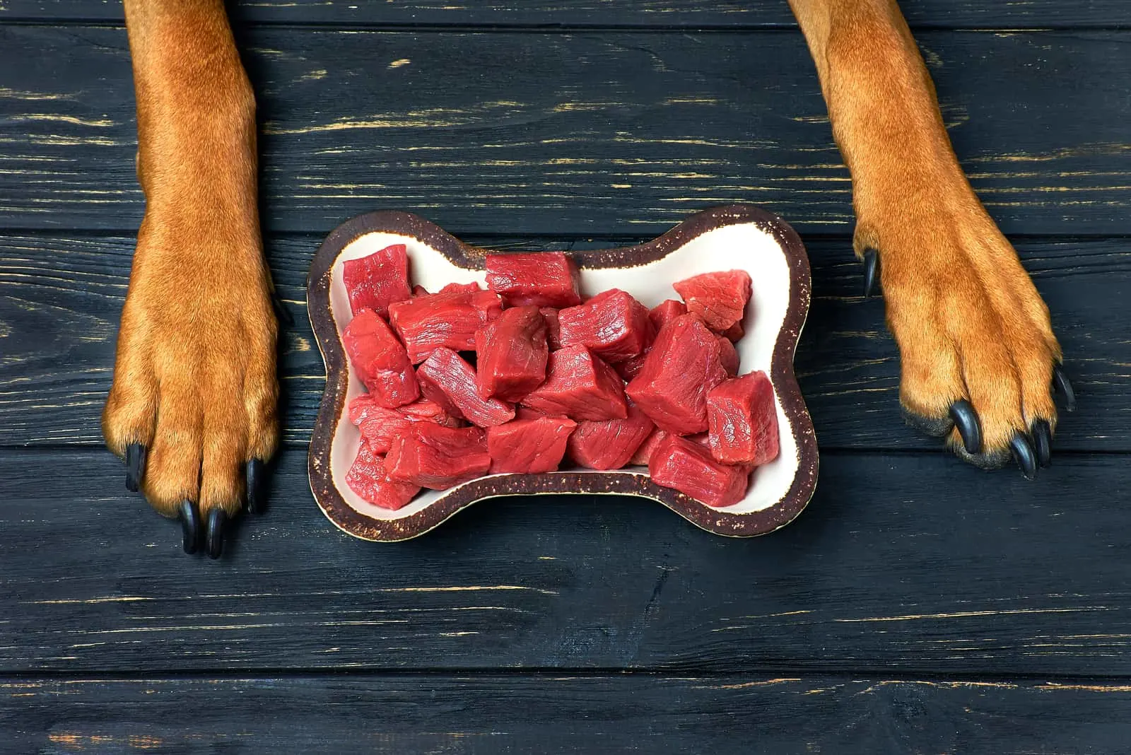 Rindfleisch in einer Hundenapf