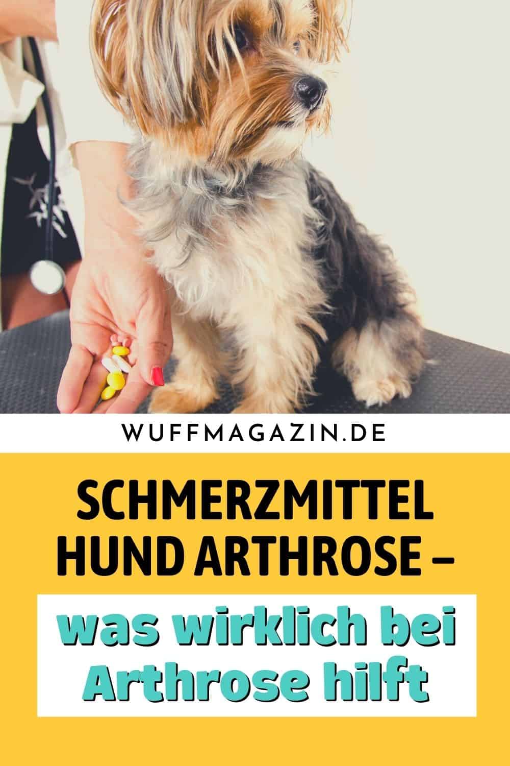 Schmerzmittel Hund Arthrose – Was wirklich bei Arthrose hilft
