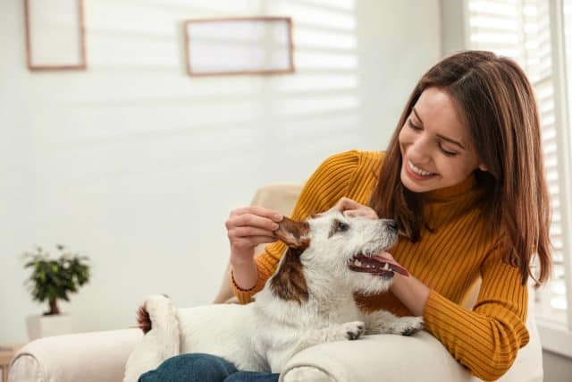 Hund Olivenöl Wie gesund ist das Öl für Hunde wirklich?