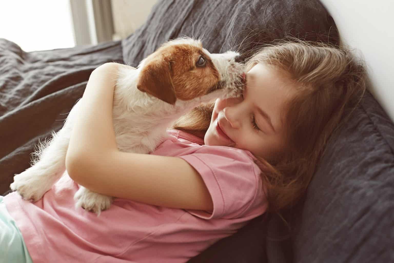 Wann ist ein Hund ausgewachsen?