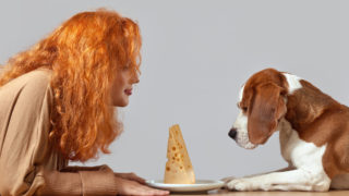 rothaarige Frau und ein Beagle, die Käse betrachten