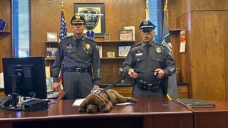 zwei Offiziere und schlafender Hund