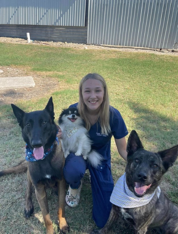 3 Hunde mit ihrer Besitzerin