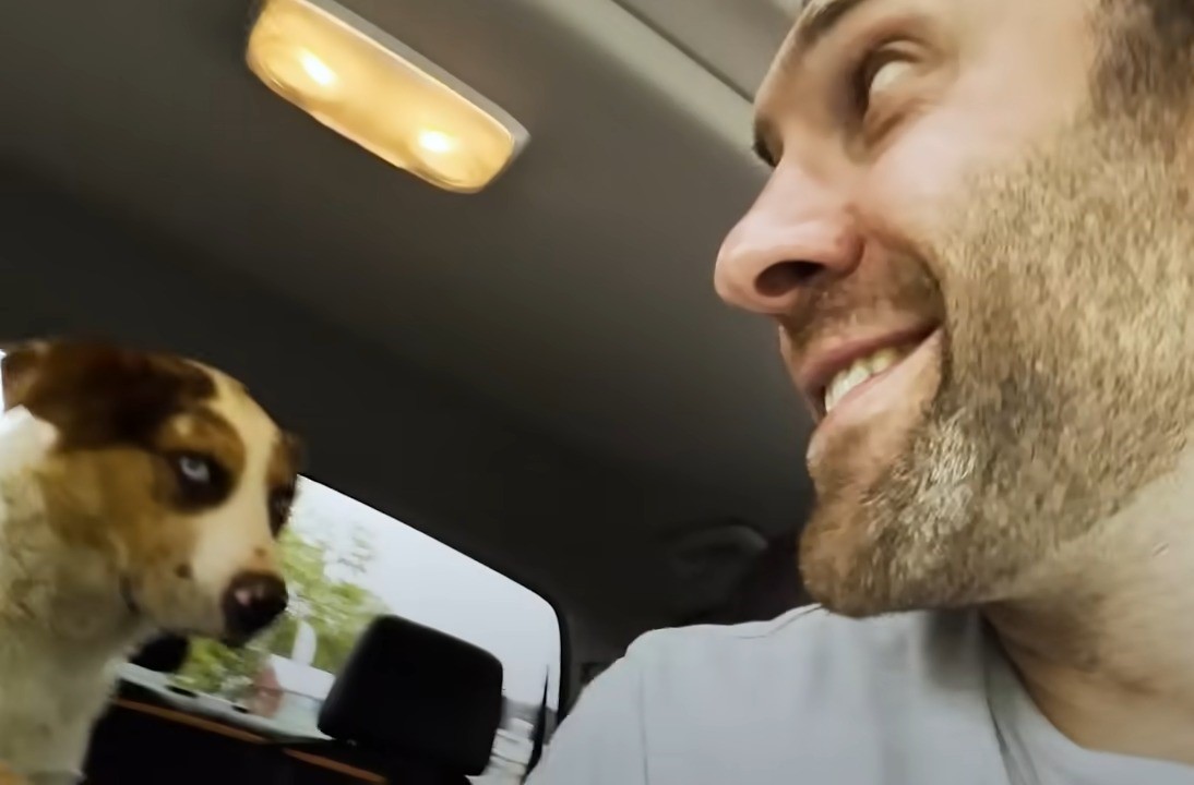 Adoptierter Hund mit neuen Besitzer im Auto