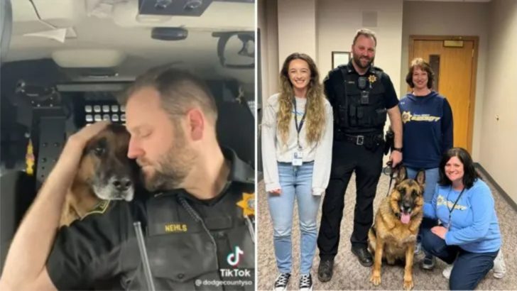 Alles Gute für den Ruhestand, Tek! Polizeihund bekommt emotionalen Abschied über einen Funkspruch