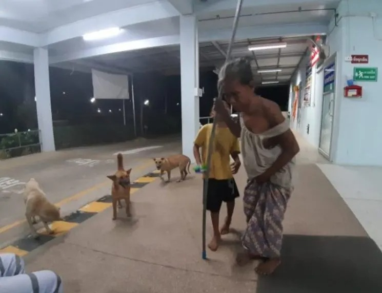 Alte Frau mit Stock und ihren treuen Hunden