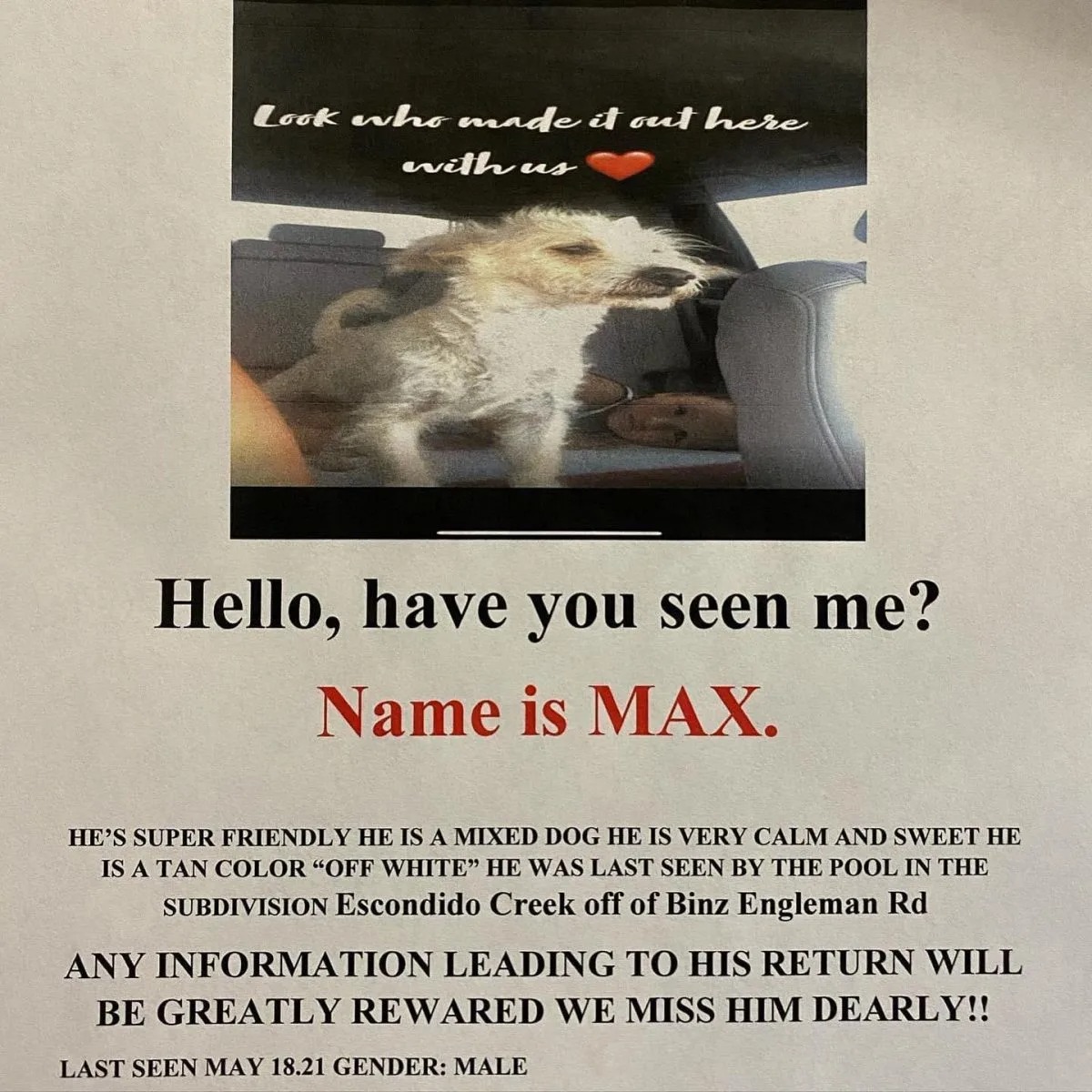 Anzeige für vermissten Hund