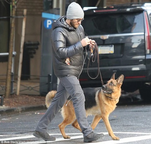 Ben Affleck geht mit seinem Schaeferhund spazieren