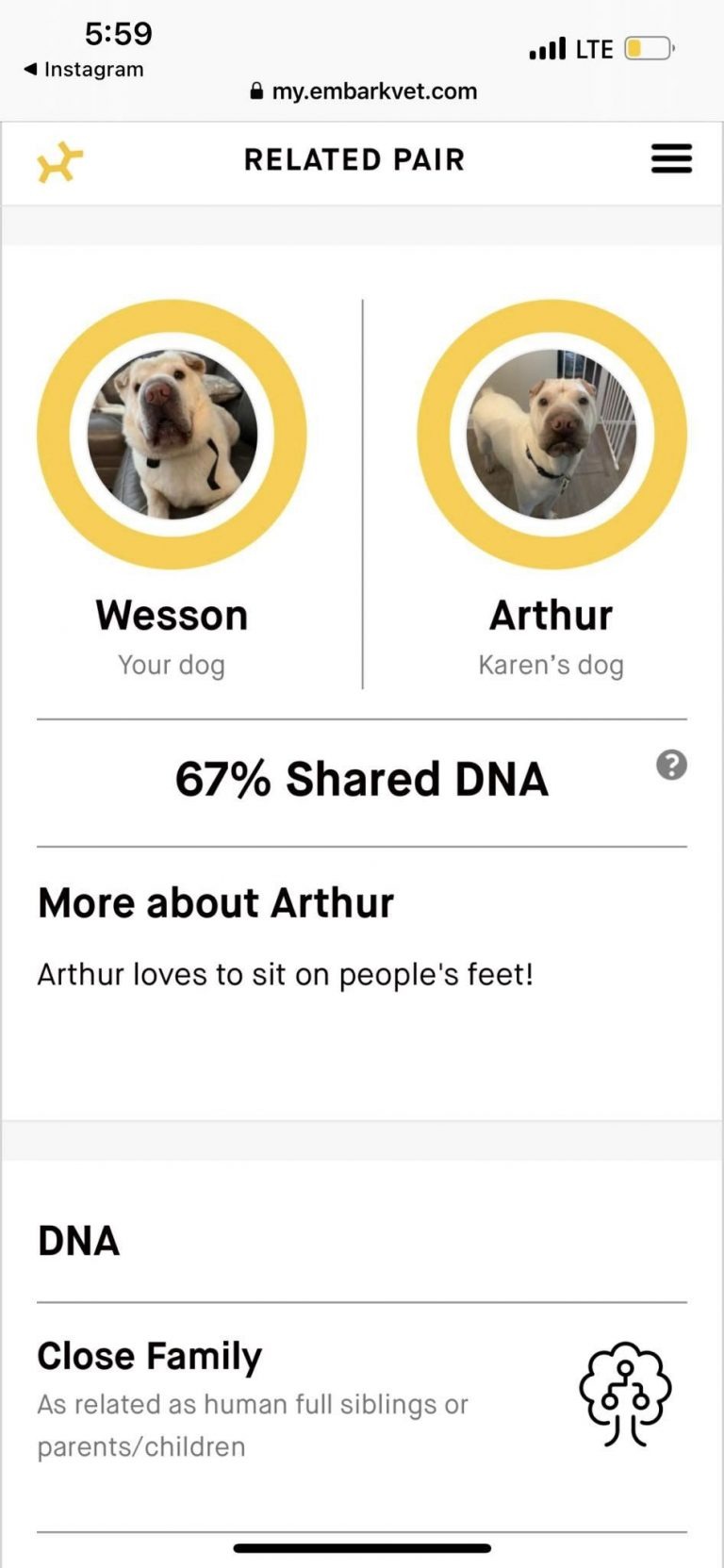 DNA-Test der beiden Hunde