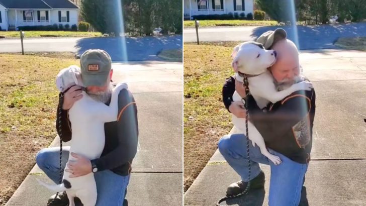 Dieser Hund konnte nicht aufhören, seine neue Besitzer zu umarmen, nachdem er aus misshandelnder Hand gerettet wurde