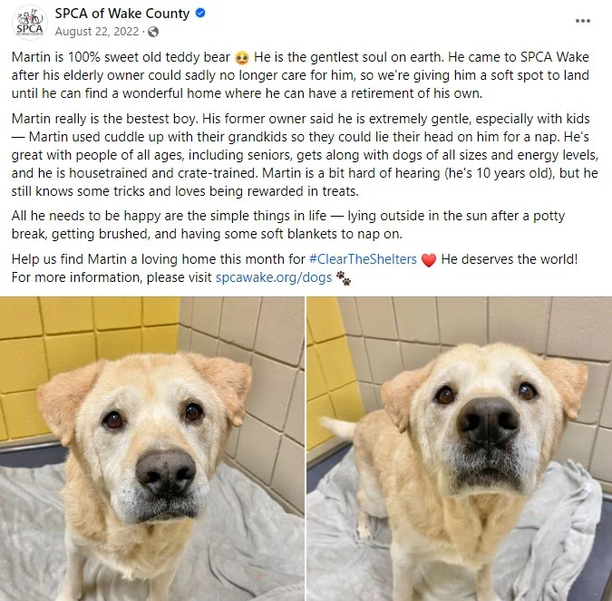 Ein Facebook-Post ueber einen Hund