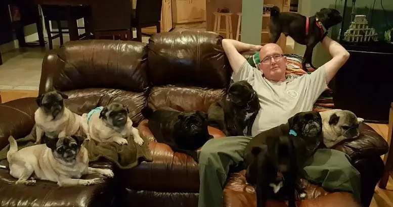 Ein Mann sitzt mit 9 Hunden auf einer Couch