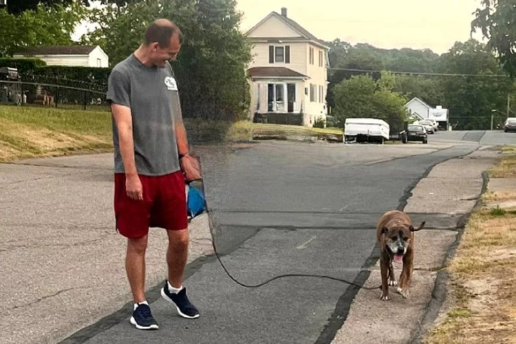 Ein Mann und ein Hund gehen Gassi