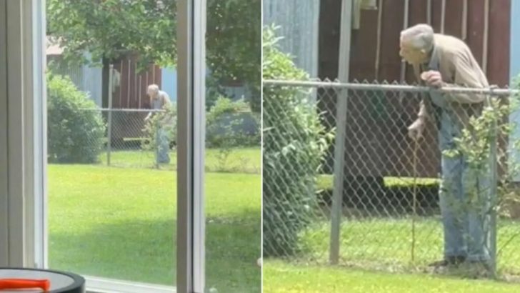 Ein älterer Mann hat die niedlichste Routine mit den Hunden seiner Nachbarn