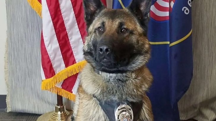 Ein pensionierter Polizeihund erhält seinen letzten Abschiedsgruß über einen Funkspruch