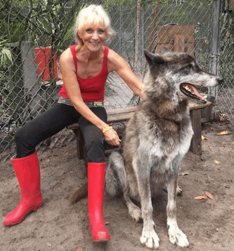 Eine Frau streichelt einen Wolfshund