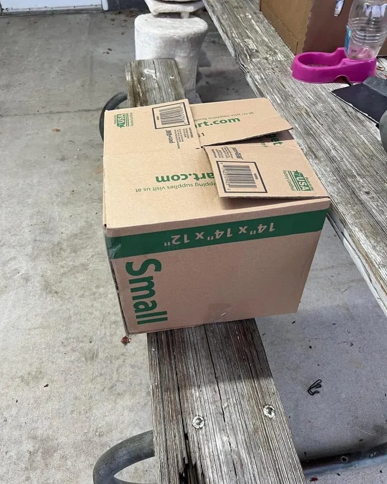 Eine Kartonbox mit gruener Beschriftung