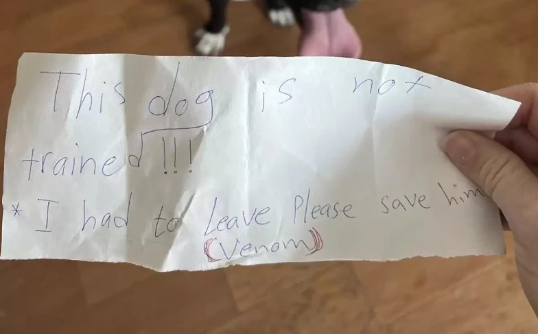 Eine herzzerreißende Notiz, die beim Hund gefunden worden ist